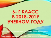 Успех года. Отчет классного руководителя.