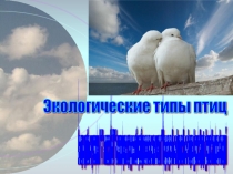 Биология Проект Птицы 7 класс Экологические типы птиц,проектная презентация учеников.
