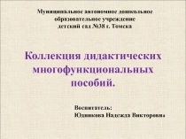 Презентация Коллекция дидактических многофункциональных пособий.