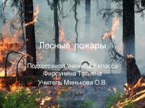 Презентация по ОБЖ Лесные пожары 7 класс