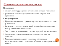 Презентация Сердечные и кровеносные молекулы 8 класс
