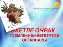 Бәхетле очрак. Гомумиләштерү дәресе.