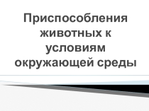 Презентация по биологии  Приспособляемость животных к условиям окружающей среды