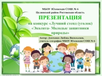 Презентация Конкурс на лучший стенд Эколята-молодые защитники природы