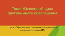 Презентация по темеЖизненный цикл ПО