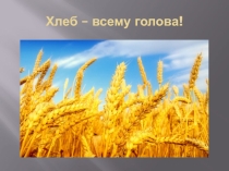 Презентация по ознакомлению детей старшей группы с окружающим миром