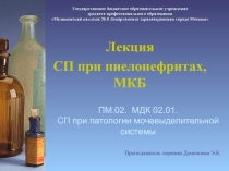 Презентация к лекции на тему: Сестринская помощь при пиелонефрите, мочекаменной болезни