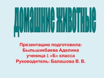 Презентация: Урок домашние животные
