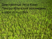 Девственные леса Коми: Печоро-Илычский заповедник и парк Югыд Ва