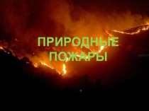 Презентация урока по ОБЖ на тему Лесные пожары (8 класс)