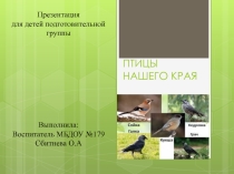 Презентация для детей подготовительной группы на тему: Птицы нашего края