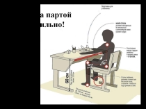 Презентация к уроку Строение растительной клетки