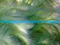 Презентация по внеурочной деятельности Донской край