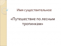 Имя существительное