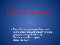 Презентация по биологии на тему: Отряд Жесткокрылые (7 класс)