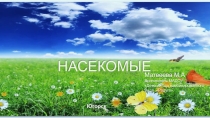 Презентация по теме Насекомые