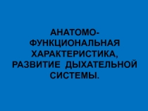 Презентация Строение дыхательной системы