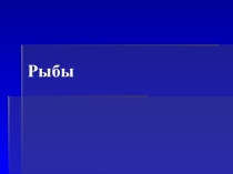 Презентация к занятию биологического кружка Рыбы