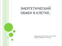 Презентация по биологии на тему Энергетический обмен в клетке (9, 10 класс)