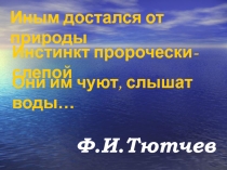 Презентация по биологии Внешнее строение рыб