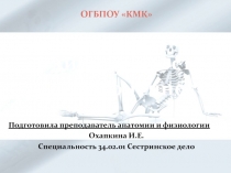 Презентация Соединения нижней конечности