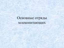 Презентация по биологии Основные отряды млекопитающих 7 класс