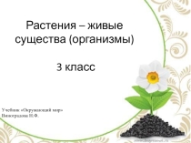 Презентация по окружающему миру на тему Растения - живые существа (организмы)