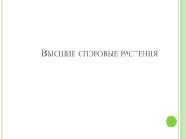 Презентация по биологии высшие споровые растения