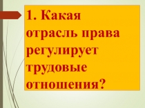 Презентация по трудовому праву