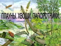 Презентация по биологии Хвощи. Плауны. Папоротники.