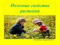 Полезные растения