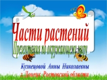 Презентация по окружающему миру на тему Части растений (1 класс)