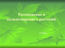 Презентация 6 класс Размножение и оплодотворение у растений
