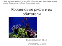 Презентация к уроку по теме Удивительное рядом к рассказу Коралловые рифы.