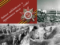 Труженики тыла Воронежская обл., Острогожский район, село Девица