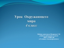 Презентация по окружающему миру Моря, озёра и реки России  4 класс