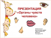 Презентация Органы чувств для дошкольников