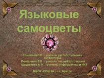 Презентация Путешествие в страну Фразеологию (6 класс)