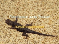 Презентация по географии Природные зоны.Пустыни и полупустыни