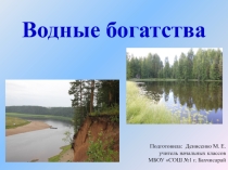 Презентация по окружающему миру