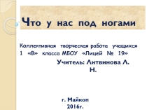 Презентация по окружающему миру Что у нас под ногами