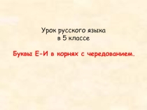 Презентация по русскому языку