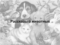 Презентация к уроку внеклассного чтения Рассказы о животных В.Чаплиной, Е.Чарушина, Б.Житкова (3 класс)