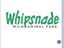 Презентация по английскому языку Whipsnade Zoo