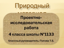 По технологии на тему Природный материал(4 класс)