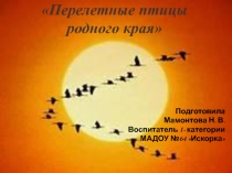 Презентация Перелетные птицы родного края.