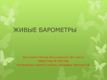 Презентация  Живые барометры