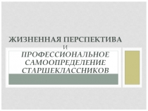 ЖИЗНЕННАЯ ПЕРСПЕКТИВА И ПРОФЕССИОНАЛЬНОЕ САМООПРЕДЕЛЕНИЕ СТАРШЕКЛАССНИКОВ.