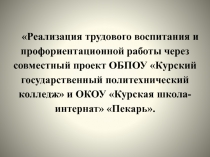 Реализация трудового воспитания и профориентационной работы через совместный проект ОБПОУ Курский государственный политехнический колледж и ОКОУ Курская школа-интернат Пекарь.
