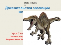 Презентация по биологии на тему Доказательства эволюции животных